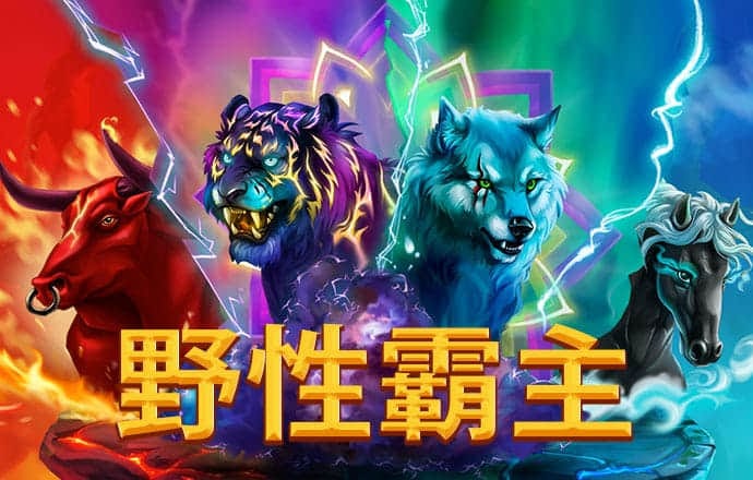 ky88开元官网下载